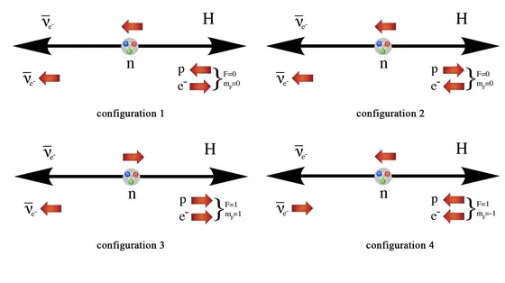 The four hyperfine spin states that may be distinguished in the two-body decay of the unpolarised neutron.
